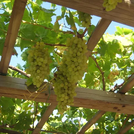 Traditional Hébergement de vacances *