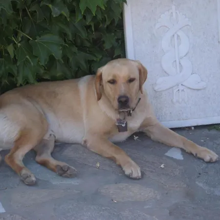 Traditional * Páros