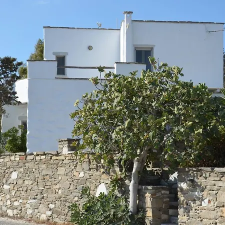 Traditional Tatil Evi *