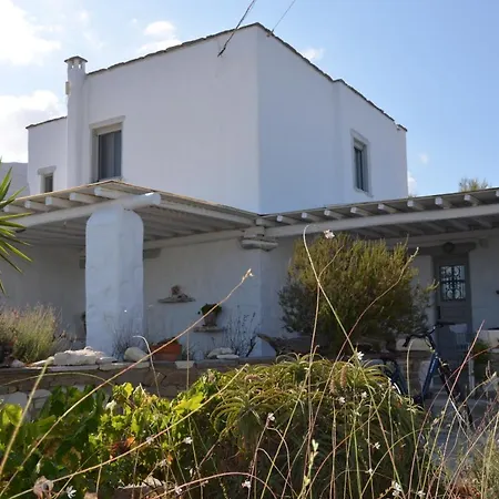 Traditional Tatil Evi *