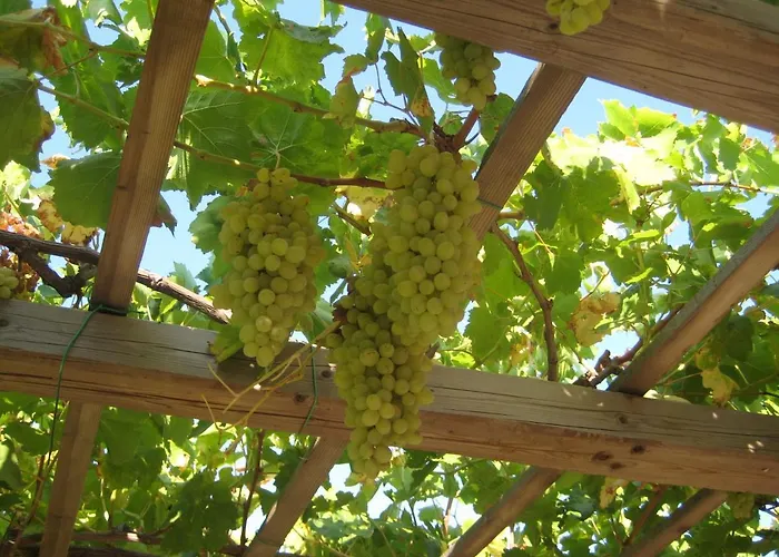 Traditional Semesterbostad *